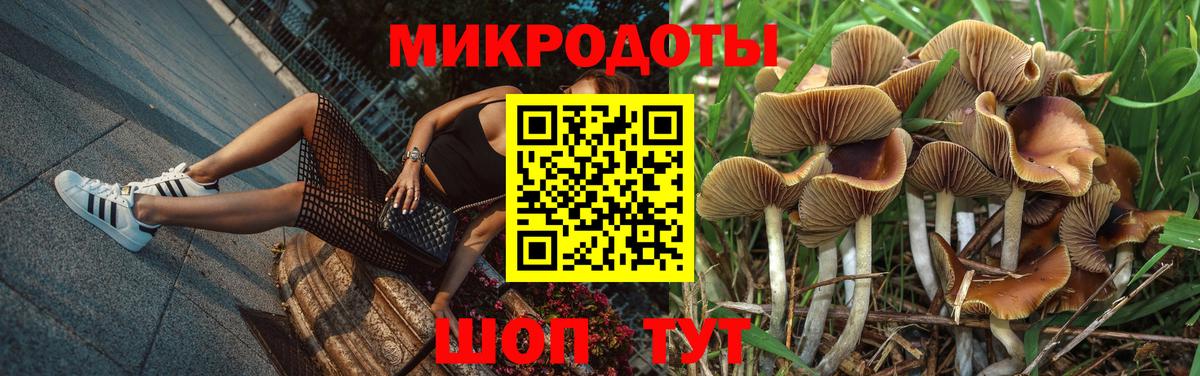 Псилоцибиновые грибы Cubensis Алапаевск