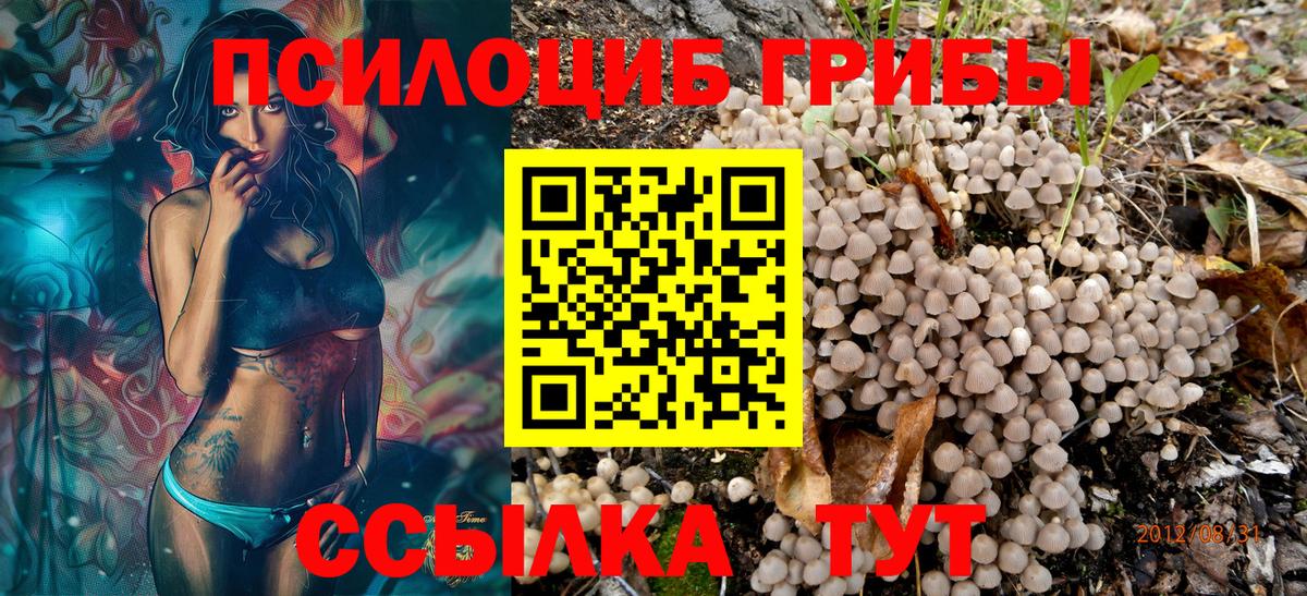 Галлюциногенные грибы мицелий  Вход с VPN  Галлюциногенные грибы ЛСД  продажа наркотиков  Алапаевск 